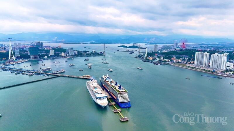 Thủ tướng Chính phủ vừa ban hành Quyết định số 606/QĐ-TTg phê duyệt Nhiệm vụ quy hoạch chung đô thị tỉnh Quảng Ninh đến năm 2050, tầm nhìn đến năm 2075.