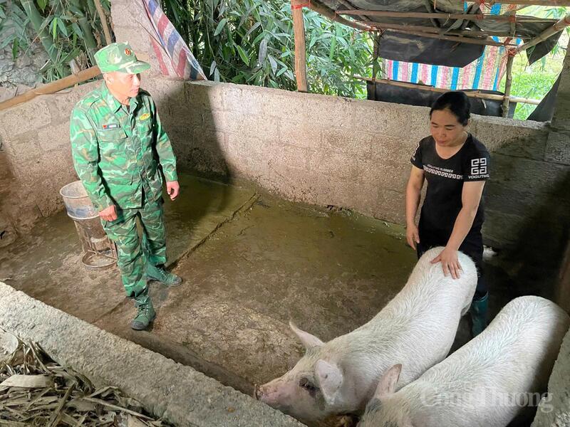 Gia đình chị Hoàng Thị Tươi được Đồn Biên phòng Cửa khẩu Quốc tế Trà Lĩnh hỗ trợ lợn giống, hướng dẫn kỹ thuật chăm sóc. Ảnh: Đồn biên phòng Cửa khẩu Quốc tế Trà Lĩnh