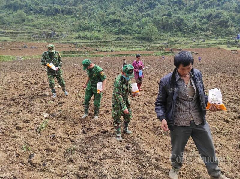 Chiến sĩ Đồn biên phòng Cửa khẩu Quốc tế Trà Lĩnh giúp người dân canh tác. Ảnh: Lê Hà