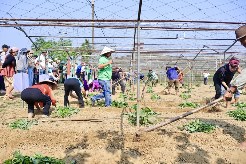 Thông qua các hoạt động truyền thông hiện đại, hệ sinh thái lan tỏa thông điệp “Sạch từ gốc – lành mỗi bữa cơm”, tôn vinh giá trị người nông dân và nâng cao nhận thức cộng đồng. Ảnh: Diễm Phúc