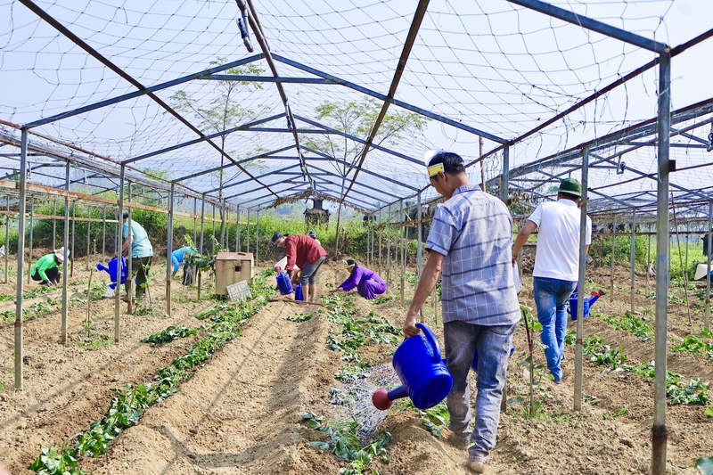 Các đội đến từ các thôn của xã Hòa Vang tham gia thi trồng rau. Ảnh: Diễm Phúc