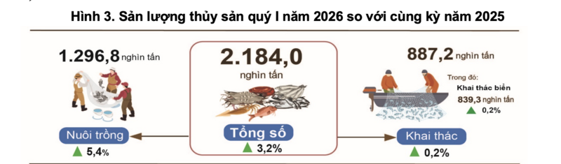 Sản lượng thủy sản quý I năm 2026 so với cùng kỳ năm 2025