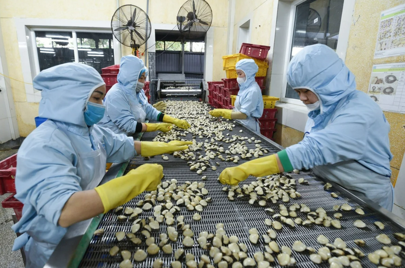 Trong giai đoạn 2026 - 2030, ngành Nông nghiệp và Môi trường đặt mục tiêu tăng trưởng bình quân 3,7%/năm. Ảnh: Tùng Đinh