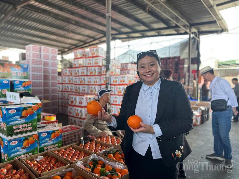 Trên diện tích khoảng 180 mẫu Trung Quốc, mỗi ngày nơi đây đón hàng nghìn lượt giao dịch. Ảnh: Minh Trang