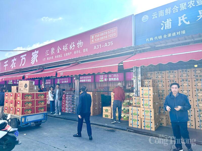 Chợ trái cây Kim Mã Chính Xương không chỉ là một chợ đầu mối đơn thuần, mà còn là biểu tượng của mô hình tổ chức thị trường nông sản hiện đại. Ảnh: Minh Trang