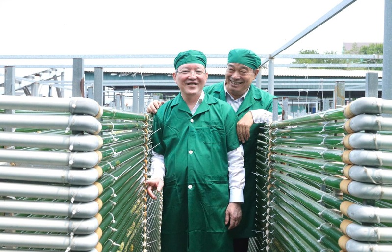 Các doanh nghiệp ở lĩnh vực này đã tận dụng tốt tiềm năng, lợi thế của địa phương, từng bước mở rộng quy mô sản xuất, đầu tư trang thiết bị hiện đại và tìm kiếm được các đơn hàng xuất khẩu sang nước ngoài