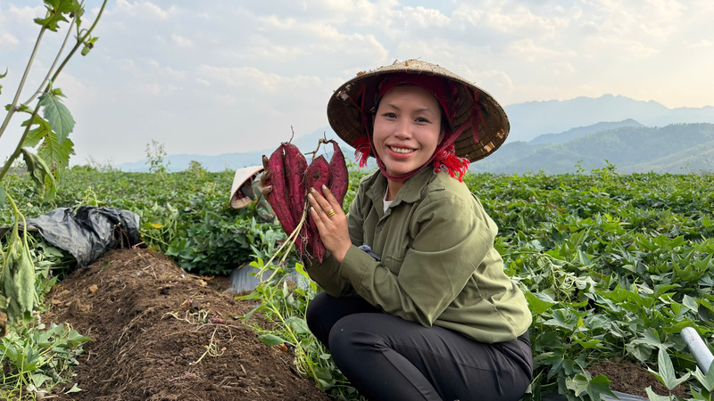 Chị Nguyễn Thị Thùy Dung mong muốn đưa nông sản của Bình Lư đến tay người tiêu dùng trên toàn quốc