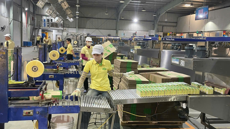 Sản phẩm sữa đậu nành Fami Green Soy dựa trên công nghệ nghiền nguyên hạt, giữ lại toàn bộ chất xơ dinh dưỡng là một trong những sáng tạo dinh dưỡng hàng đầu. Ảnh: Nguyễn Dương