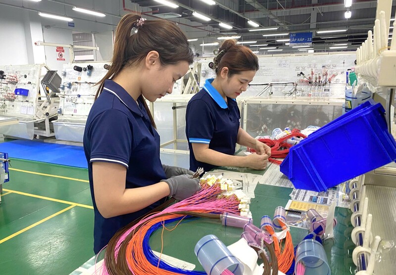 Trong Khu công nghiệp VSIP của Nghệ An, hiện có rất nhiều doanh nghiệp lớn chuyên về sản xuất linh kiện điện tử, linh kiện ô tô