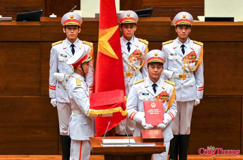 Theo quy định của Hiến pháp nước Cộng hòa xã hội chủ nghĩa Việt Nam, Chủ tịch nước Cộng hòa xã hội chủ nghĩa Việt Nam sau khi được Quốc hội bầu giữ chức Chủ tịch nước thực hiện nghi Lễ tuyên thệ.