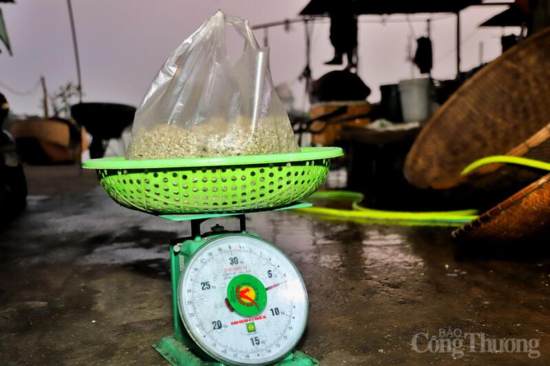 “Hến thành phẩm của bà con nơi đây có vị thế riêng nhờ khâu chế biến sạch sẽ và khéo léo. Mùa hè năm nay nắng nóng nên nhu cầu tiêu thụ hến tăng cao, giá thu mua tại chỗ cũng tăng theo, bà con ai nấy đều phấn khởi”, một thương lái đến từ phường Thành Sen, Hà Tĩnh chia sẻ.