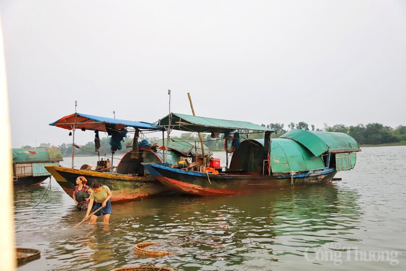 Trao đổi với báo chí, ông Lê Đình Tài - Phó Chủ tịch UBND xã Đức Minh cho biết, toàn xã hiện có khoảng 125 hộ dân tham gia sản xuất, chế biến hến. Xác định đây là nghề truyền thống đặc trưng, xã luôn quan tâm bố trí khu chế biến, tạo điều kiện cho các cơ sở sản xuất phát triển.