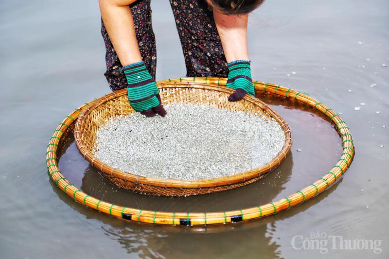 Nghề đãi hến nhìn qua tưởng chừng đơn giản, nhưng chỉ những người trong cuộc mới hiểu hết nỗi khổ cực. Để có được những cân ruột hến trắng ngần, sạch cát, người phụ nữ phải trải qua quy trình "hun khói trên bờ" suốt nhiều giờ đồng hồ.