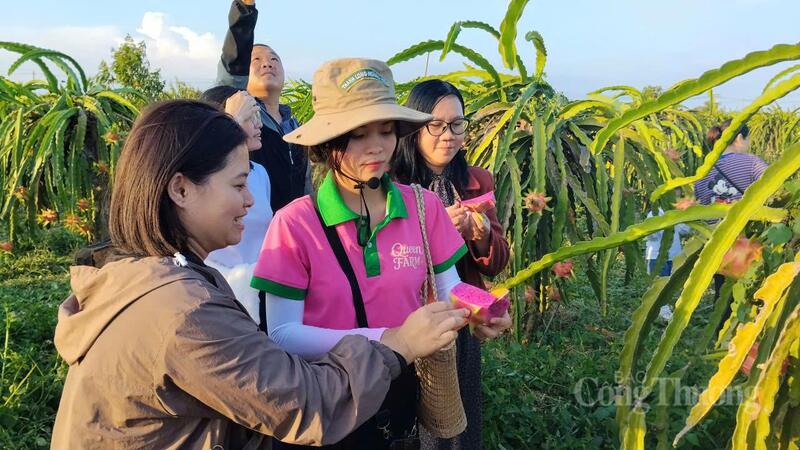 Du khách trải nghiệm nông sản tại vườn. Ảnh: Lê Sơn