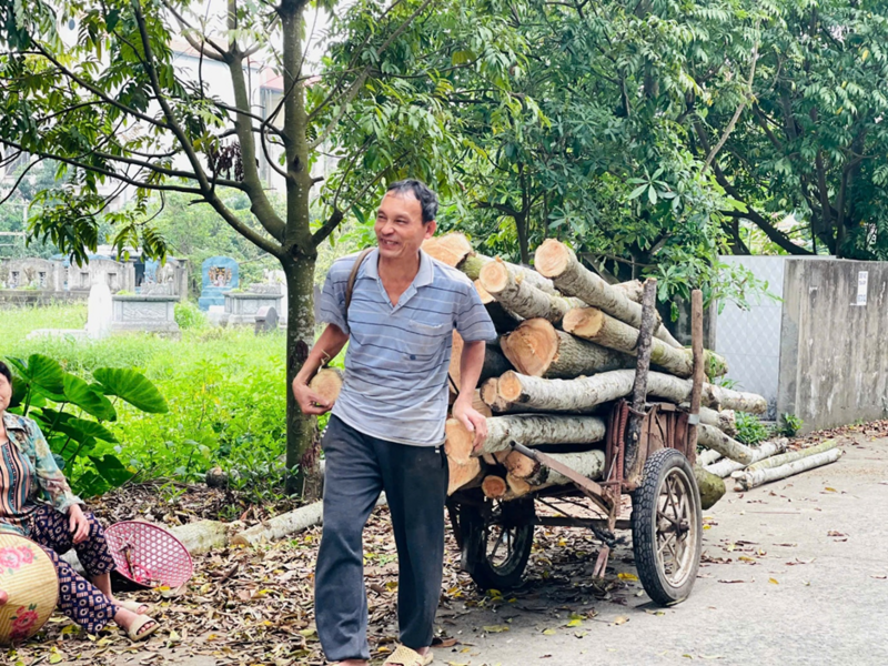 Các hoạt động thô sơ như vận chuyển gỗ vẫn được người làng Nhị Khê gìn giữ. Ảnh: Mai Linh