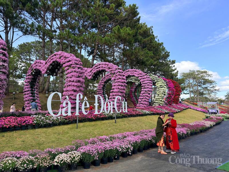 Du khách check in tại cà phê Đồi Cù, phường Xuân Hương - Đà Lạt. Ảnh: Lê Sơn