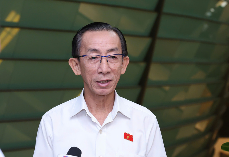 Đại biểu Trần Hoàng Ngân, đoàn TP. Hồ Chí Minh