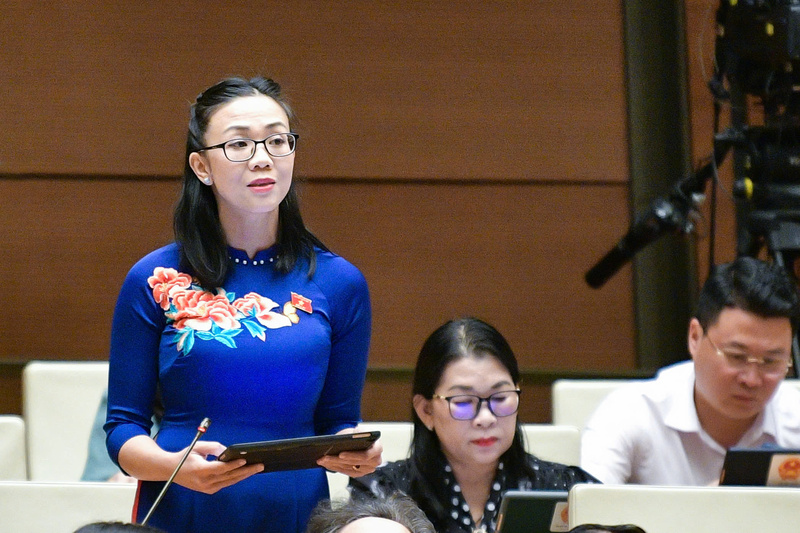 Đại biểu Quốc hội Trịnh Thị Tú Anh