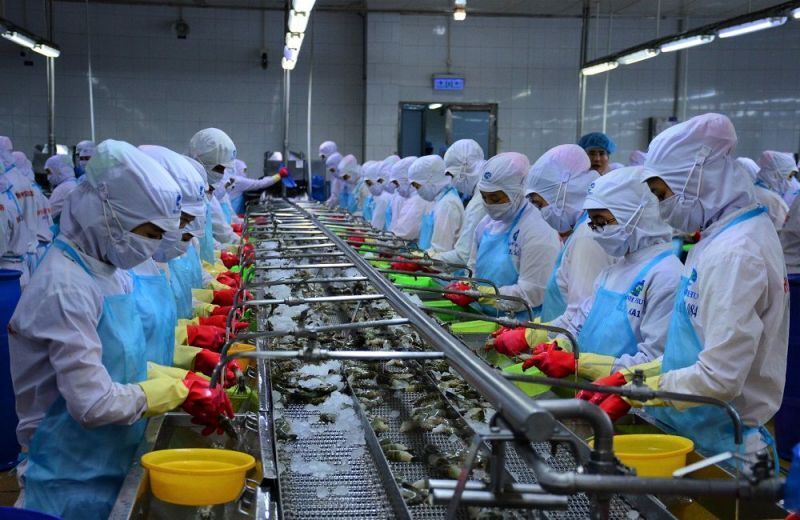 Tỉnh Cà Mau triển khai nhiều chính sách hỗ trợ phát triển kinh tế tư nhân, lấy kinh tế tư nhân là động lực tăng trưởng. Ảnh minh họa