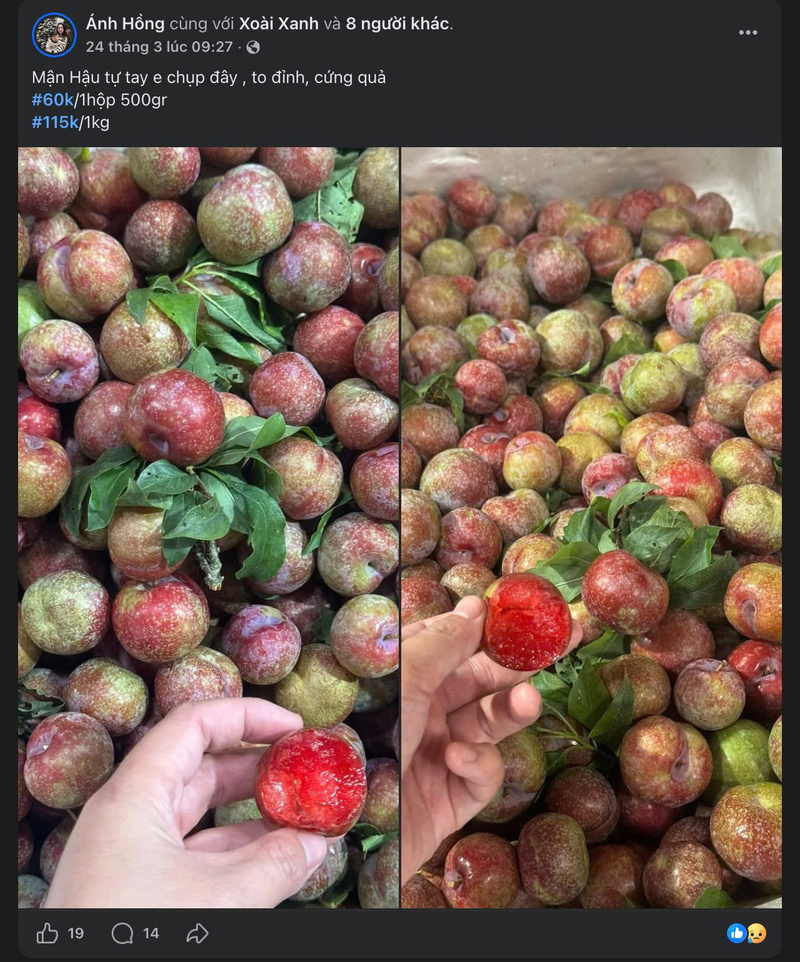 Mận hậu Sơn La được rao bán trên mạng xã hội. Ảnh chụp màn hình
