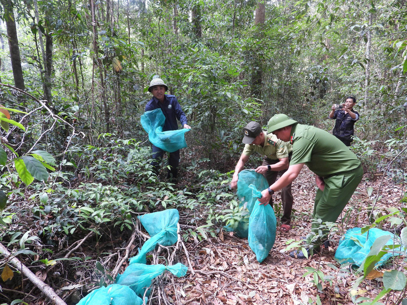 Các cá thể động vật quý hiếm được thả về môi trường tự nhiên. Ảnh: ĐVCC