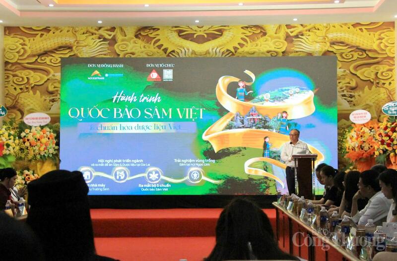 Ra mắt đề án “Hành trình quốc bảo sâm Việt Nam và chuẩn hóa dược liệu Việt”. Ảnh: Hiền Mai