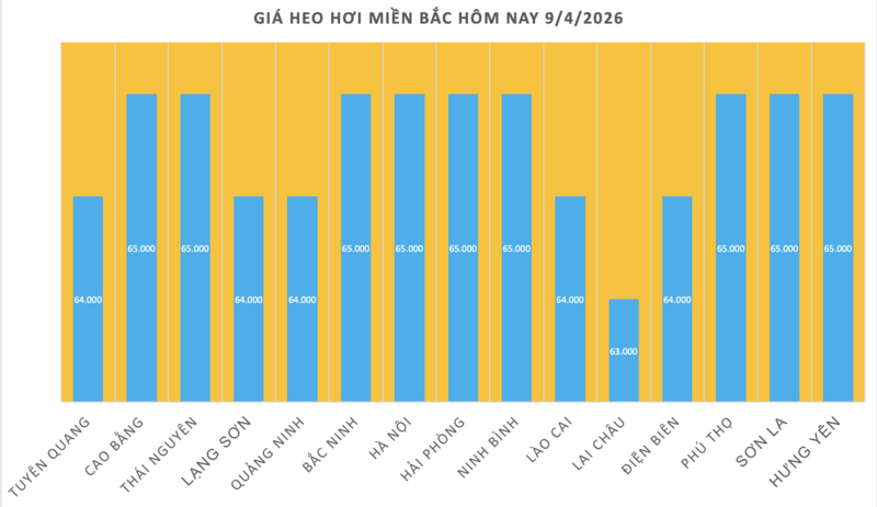 Giá heo hơi hôm nay 9/4/2026: Đi ngang trên cả nước - 1
