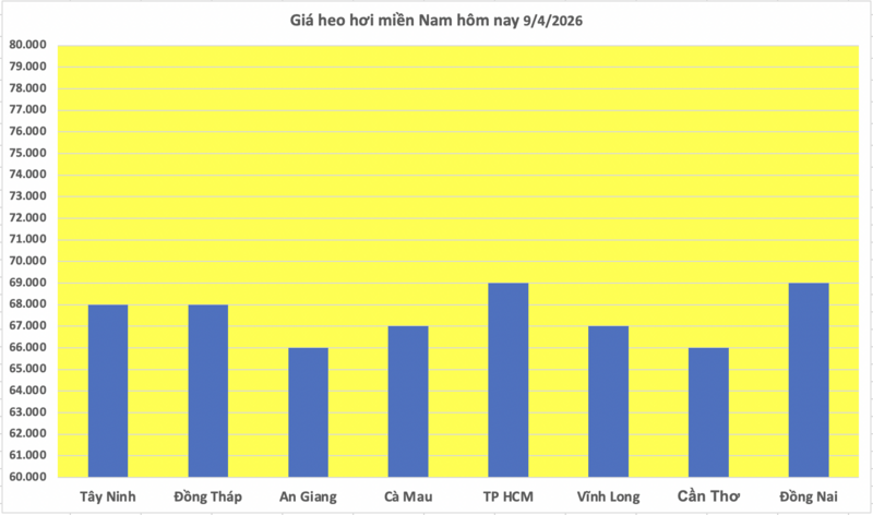 Giá heo hơi hôm nay 9/4/2026: Đi ngang trên cả nước - 3