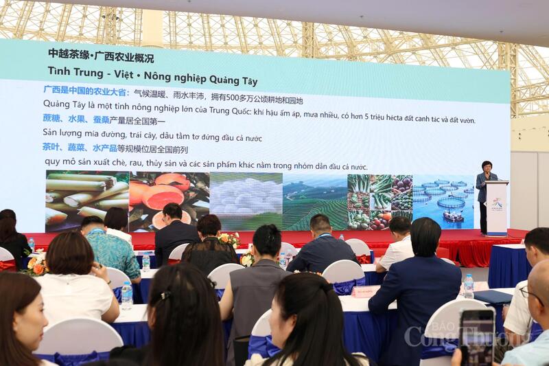 Tại hội thảo, các chuyên gia đã chia sẻ cơ hội hợp tác tiềm năng của hai nước