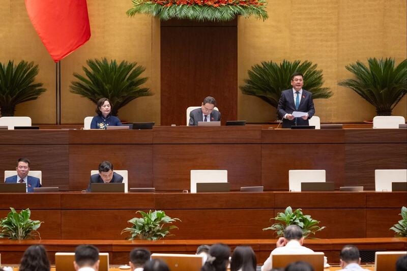 Phó Chủ tịch Quốc hội Nguyễn Hồng Diên phát biểu.