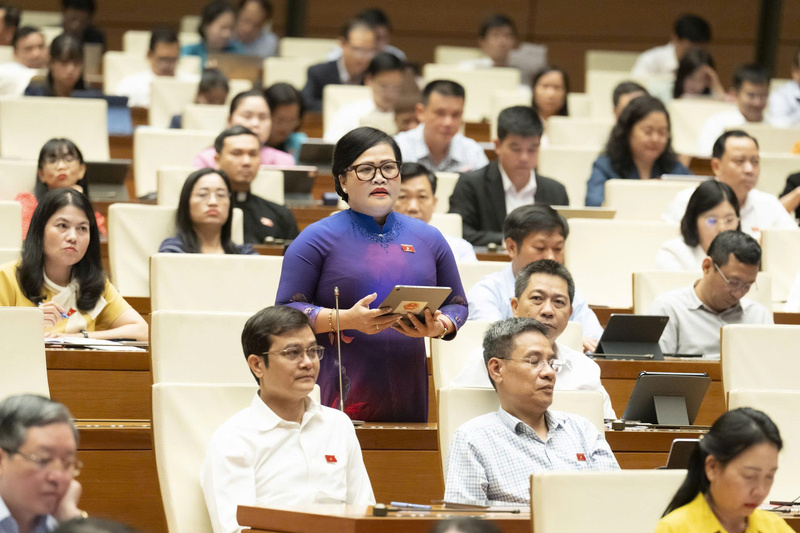 Đại biểu Nguyễn Thị Sửu - đoàn TP. Huế.