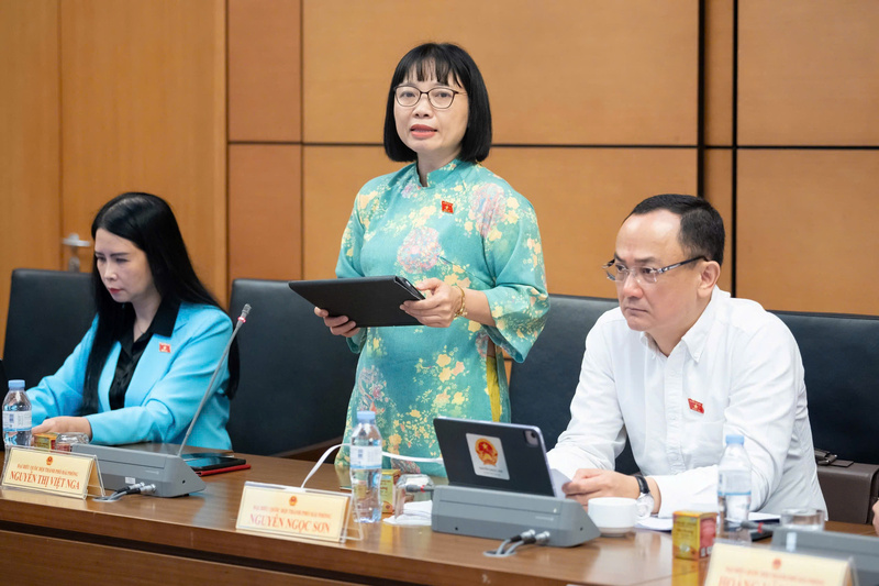 Đại biểu Nguyễn Thị Việt Nga - đoàn Hải Phòng phát biểu