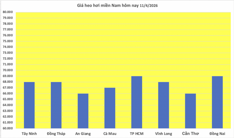 Giá heo hơi hôm nay 11/4/2026: Giảm diện rộng - 3