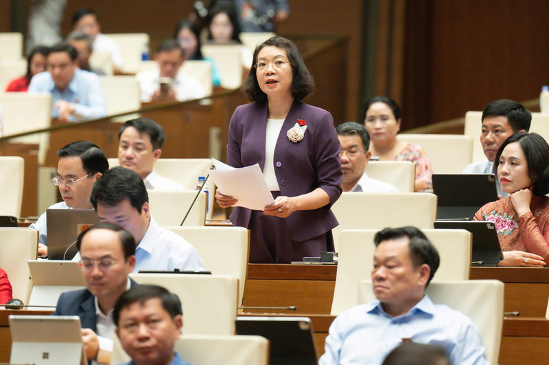 Đại biểu Mai Thị Phương Hoa - đoàn Ninh Bình