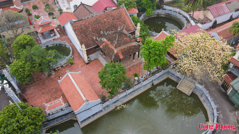 Đặc biệt, nhắc đến hoa bún không thể không nhắc tới gốc bún có tuổi đời hàng trăm năm tại làng Hà Trì (Hà Đông). Tọa lạc ngay cạnh cổng đình cổ kính và chiếc giếng làng rêu phong, không gian nơi đây mang đậm bản sắc làng quê Bắc Bộ hiếm hoi còn sót lại giữa đô thị phồn hoa.