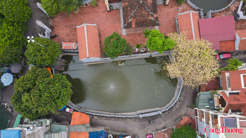 Mùa hoa bún thường chỉ kéo dài khoảng 2-3 tuần rồi sẽ tàn dần và nhường chỗ cho những chùm lá xanh mướt. Vì vậy, những ngày đầu tháng 4 này chính là thời điểm lý tưởng nhất để người dân Thủ đô ghé thăm và thưởng lãm vẻ đẹp mộc mạc mà rực rỡ của loài hoa này.