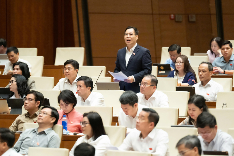 Đại biểu Đỗ Đức Hồng Hà - đoàn Hà Nội