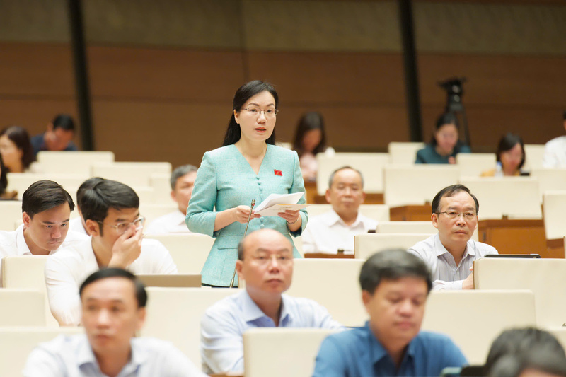 Đại biểu Đỗ Thị Việt Hà - đoàn Bắc Ninh