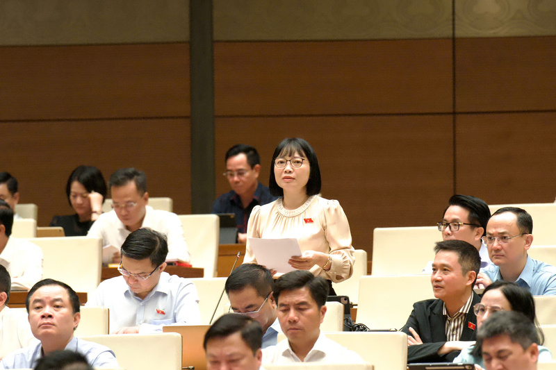 Đại biểu Nguyễn Thị Việt Nga - đoàn Hải Phòng