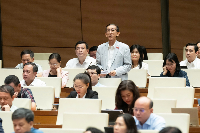 Đại biểu Trần Hoàng Ngân - đoàn TP. Hồ Chí Minh.