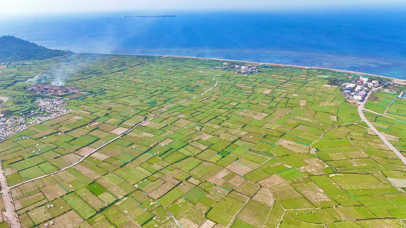 Một trong những khó khăn lớn nhất hiện nay trong việc hoàn thành cơ sở dữ liệu đất đai là việc chuẩn hóa dữ liệu. Ảnh: Nguyễn Dương