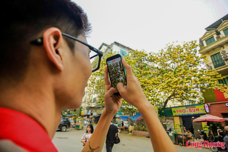 Không chỉ là báu vật của người dân Đình Thôn, mỗi khi nở hoa, cây bún luôn thu hút người dân và du khách tới đây tham quan và chụp ảnh.