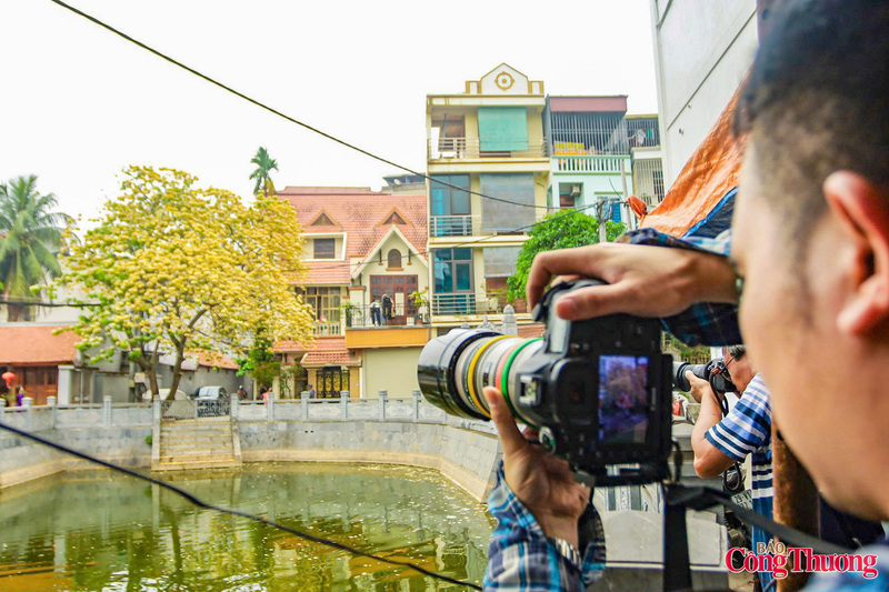 Rất đông các tay máy chuyên nghiệp trang bị ống kính tele "khủng" đổ về đây để săn những góc ảnh chân dung, phong cảnh ấn tượng.