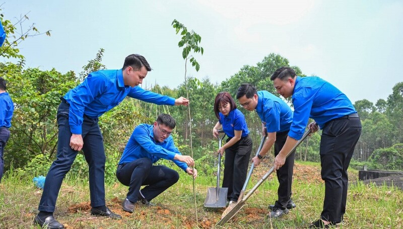 Phát huy tinh thần tình nguyện vì môi trường, các đơn vị đã tổ chức trồng cây xanh tại khu vực hồ thủy điện Thác Bà, hưởng ứng Tết trồng cây, góp phần cải thiện cảnh quan sinh thái và lan tỏa thông điệp sống xanh, phát triển bền vững.