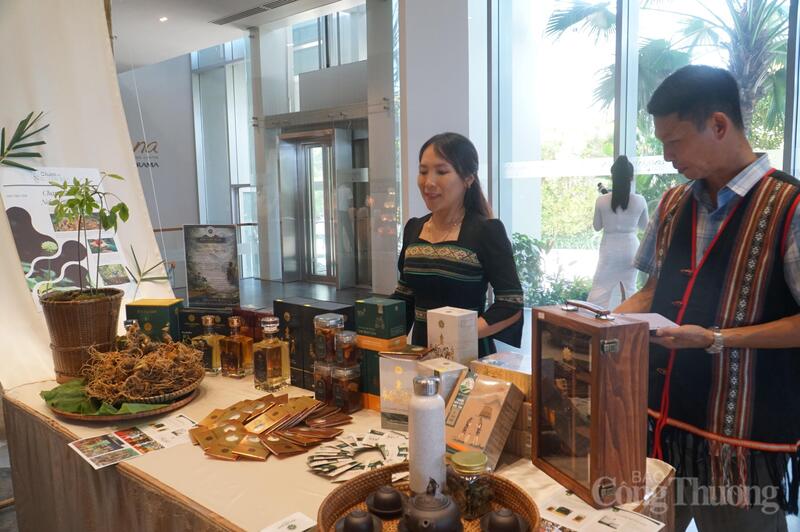 Quảng bá sâm Ngọc Linh tại họp báo công bố chương trình kích cầu du lịch Đà Nẵng năm 2026.