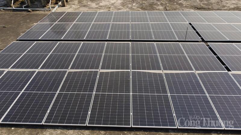 Tính đến ngày 31/3/2026, toàn tỉnh đã có 617 khách hàng lắp đặt điện mặt trời áp mái với tổng công suất ấn tượng hơn 150,3 MW. Ảnh: Thành Đô