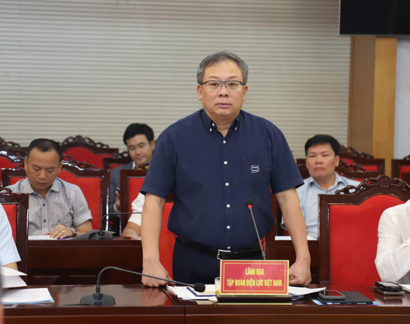 Lãnh đạo Tập đoàn Điện lực Việt Nam phát biểu tại cuộc làm việc.