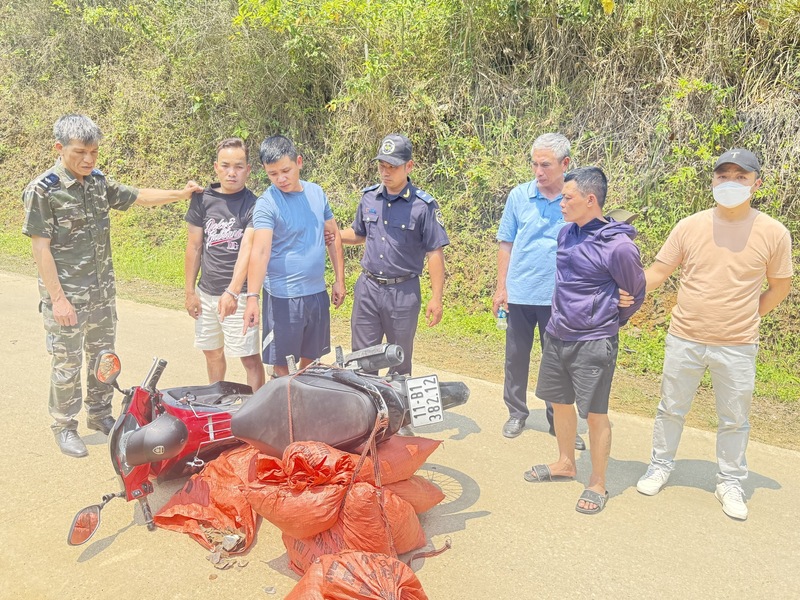 Lực lượng chức năng tỉnh Cao Bằng phát hiện, bắt giữ nhóm đối tượng vận chuyển trái phép vảy nghi của tê tê tại địa bàn xã Nguyễn Huệ, tỉnh Cao Bằng. Ảnh: Cục Hải quan