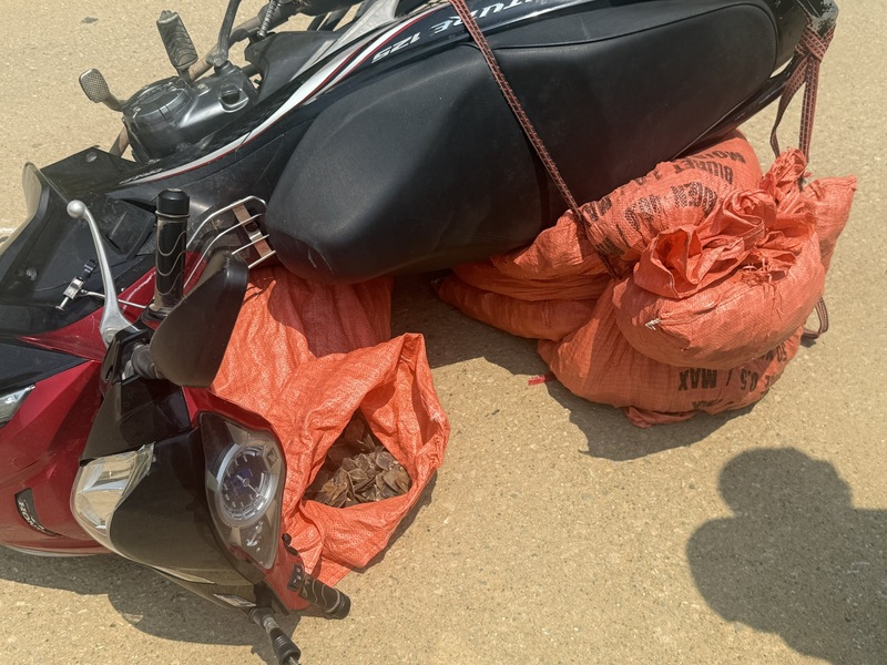 Toàn bộ tang vật này được cơ quan chức năng tạm giữ để xử lý theo quy định. Ảnh: Cục Hải quan