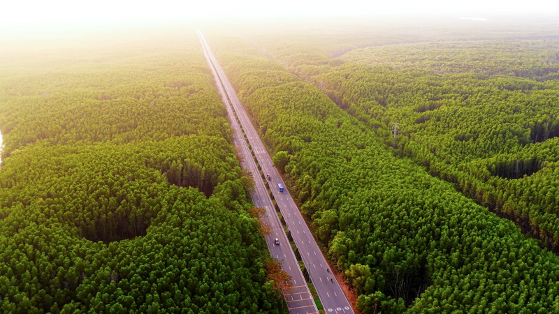 VnExpress Marathon Green Paradise Cần Giờ mang đến cung đường chạy độc nhất vô nhị xuyên qua khu dự trữ sinh quyển thế giới được UNESCO công nhận